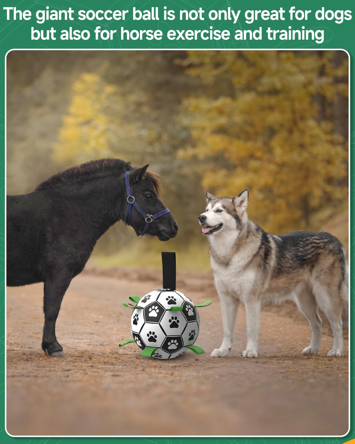 QDAN Soccer Ball with Straps - Durable Giant Dogs Balls, Outdoor, Herding, Floating, Birthday (10