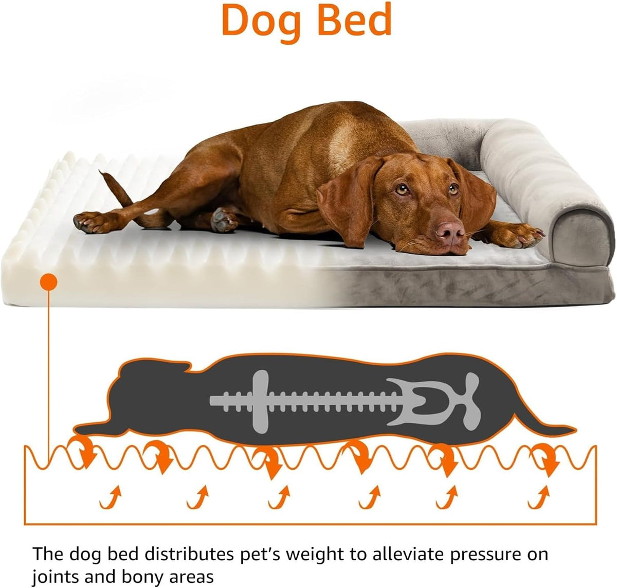 Amazon Basics Dog Bed with Cooling Gel Memory Foam, Pressure-Relief Support for Dogs up to 90lbs