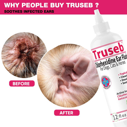All Natural Ear Flush for Dogs & Cats, Ketoconazole & Chlorhexidine Ear and Vet-Strength Ear wash