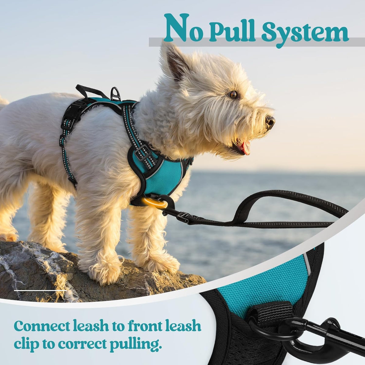 rabbitgoo Dog Harness No Pull with 2 Leash Clips, Adjustable Soft Padded, Reflective Oxford No