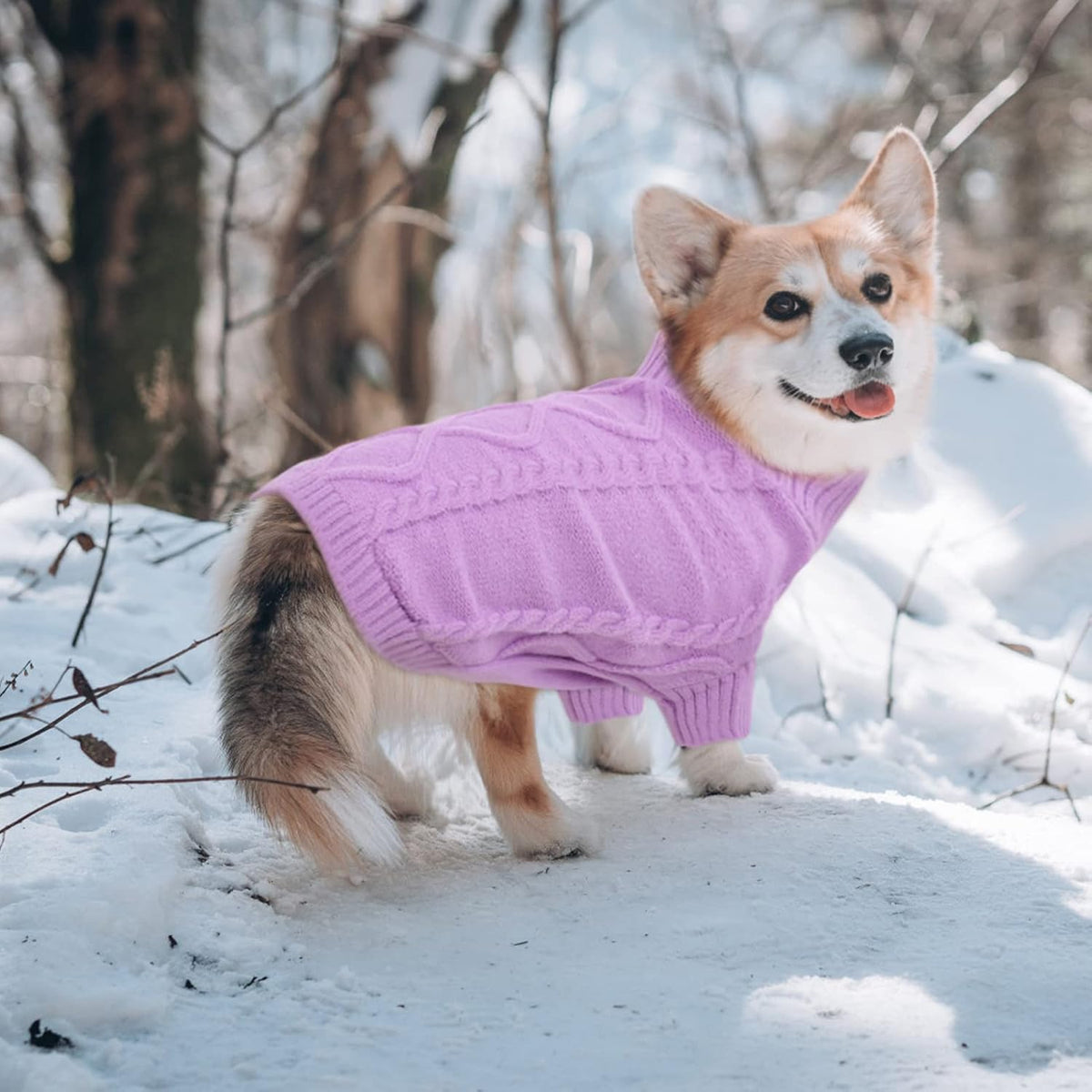 Queenmore Small Dog Pullover Sweater, Cold Weather Cable Knitwear, Classic Turtleneck Thick Warm
