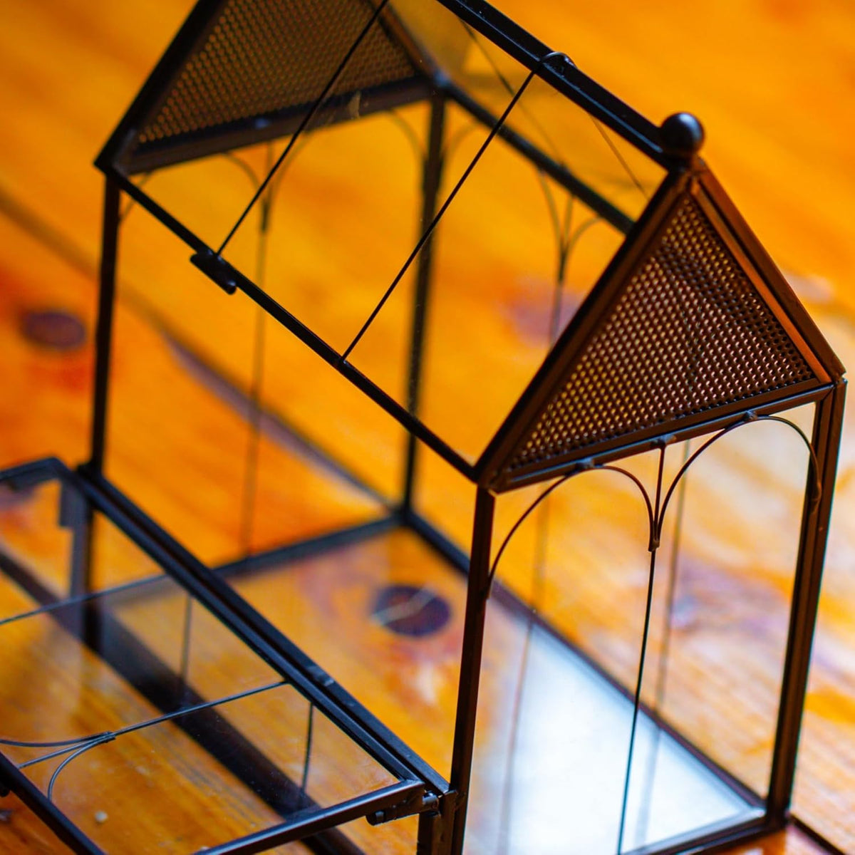 NCYP Small Glass Spider Enclosure with Mesh for Jumping Spiders, Snails, Micro House Shaped Front