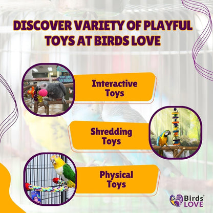 Birds LOVE Wood Stars & Leather Toy for Bird Cage Stand or Playgym, Bird Toys for Small to Medium