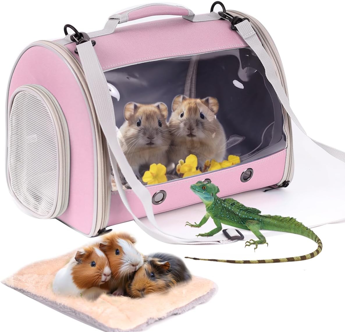 Lizard Travel Carrier Backpack,Guinea Pig Backpack Carrier,Space Capsule Clear Bubble Window