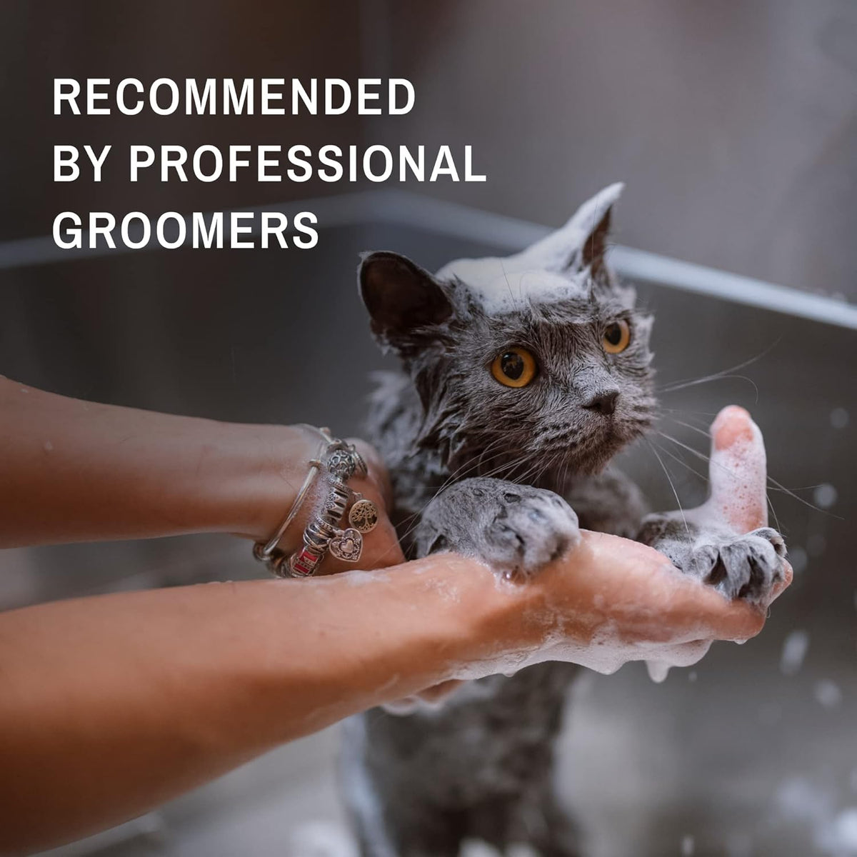 Eye Envy Tear Stain Facial Cleanser for Dogs and Cats. Washes Away Crusty Eye Debris, Eye Boogers