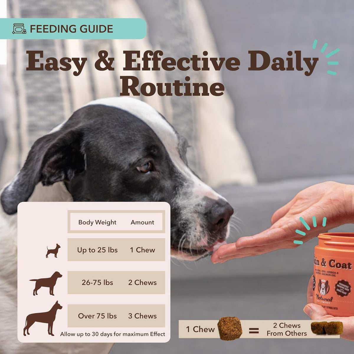 Natural Dog Company Skin & Coat Supplement for Dogs Omega-3 Rich Salmon Oil Chews for Itchy Skin