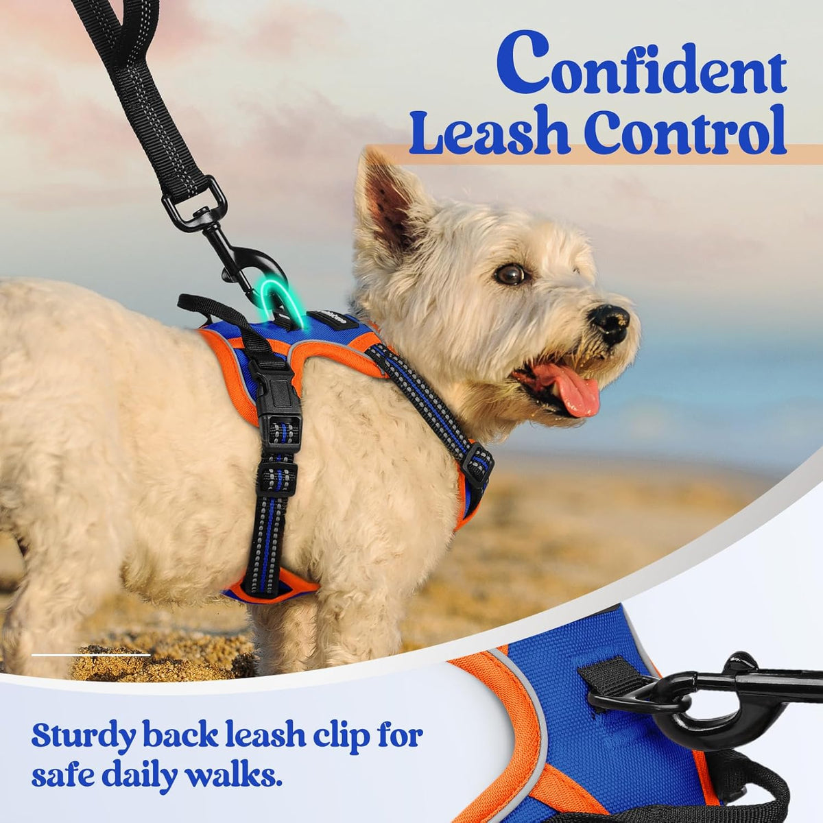 rabbitgoo Dog Harness No Pull with 2 Leash Clips, Adjustable Soft Padded, Reflective Oxford No