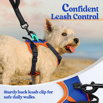 rabbitgoo Dog Harness No Pull with 2 Leash Clips, Adjustable Soft Padded, Reflective Oxford No