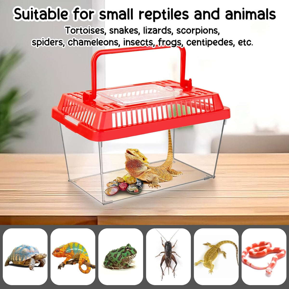 12Pcs Plastic Reptile Terrariums Carrier Cage, Tarantula Enclosure Snake Breeding Box Hatching
