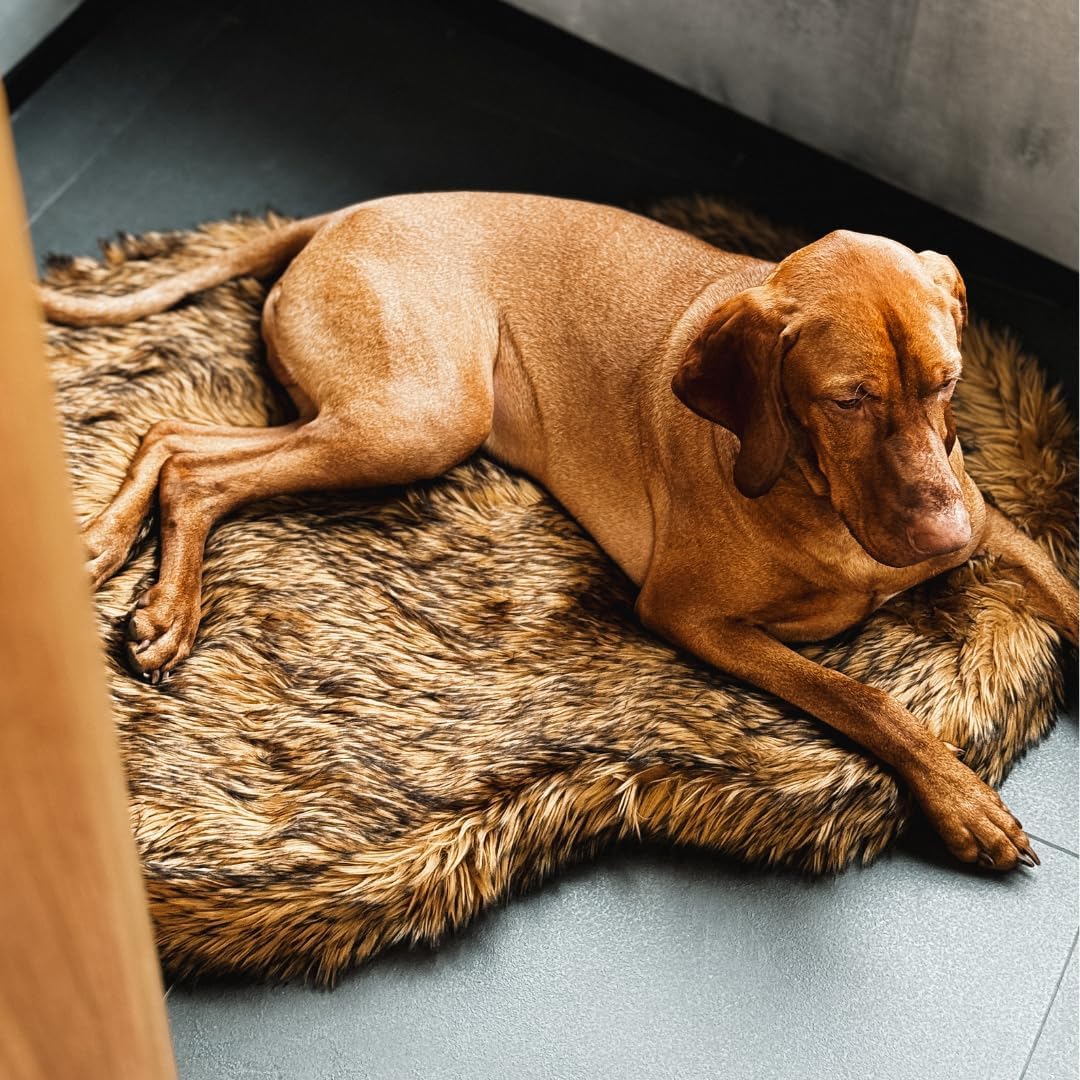 IHAPPYDOG Luxury Faux Fur Orthopedic Dog Bed, Memory Foam Dog Bed for Small, Medium, Large and XL