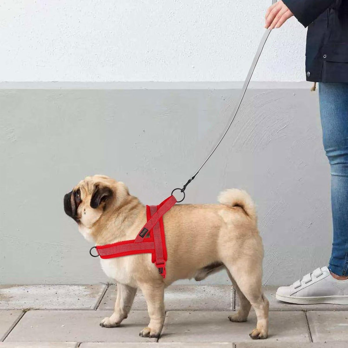 Didog No Pull Dog Harness with Breathable Mesh Padded, Full Reflective & Quick Fit Adjustable Vest