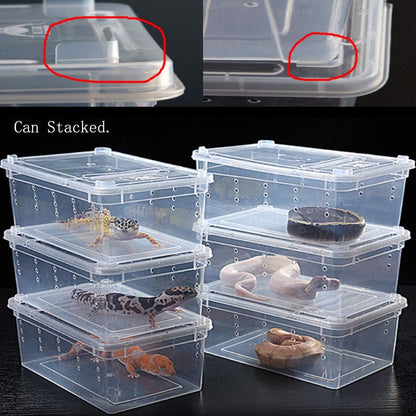 Hamiledyi Reptile Feeding Box Lizard Tarantula Habitat Cage Hatching Container Snake Breeding Box