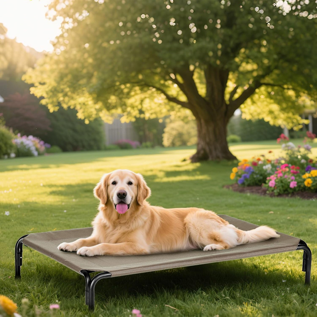 Elevated Dog Bed for Outdoor, XXXL Raised Dogs Cot with Washable Mesh, Cooling Pet Beds Chew Proof