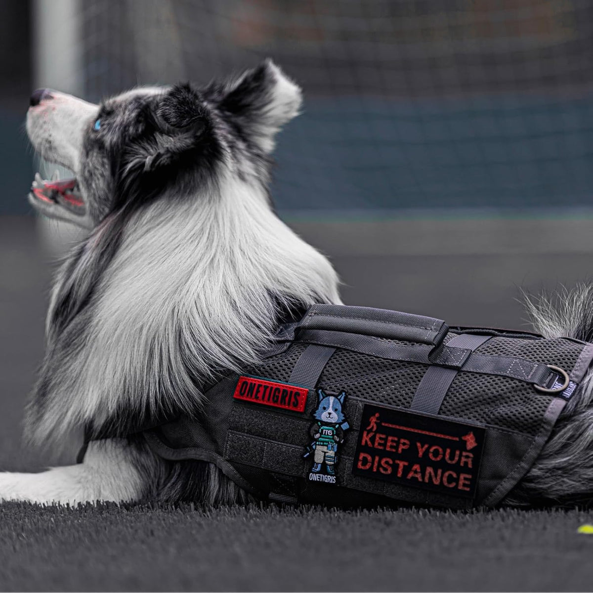 OneTigris Tactical Dog Harness for Medium Dogs No Pull Breathable Military Dog Molle Vests with