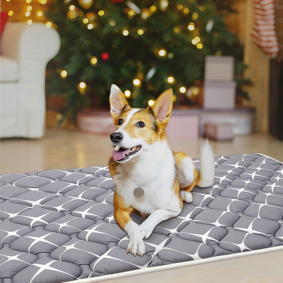 Bubble bear Dog Crate Mat - Ultra Soft, Washable & Anti-Slip Kennel Pad for Small/Medium/Large