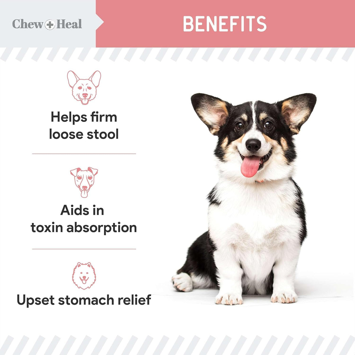 Chew + Heal Labs Anti Diarrhea for Dogs 2oz - Fast Relief Liquid Dog Diarrhea Supplement with