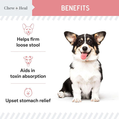 Chew + Heal Labs Anti Diarrhea for Dogs 2oz - Fast Relief Liquid Dog Diarrhea Supplement with