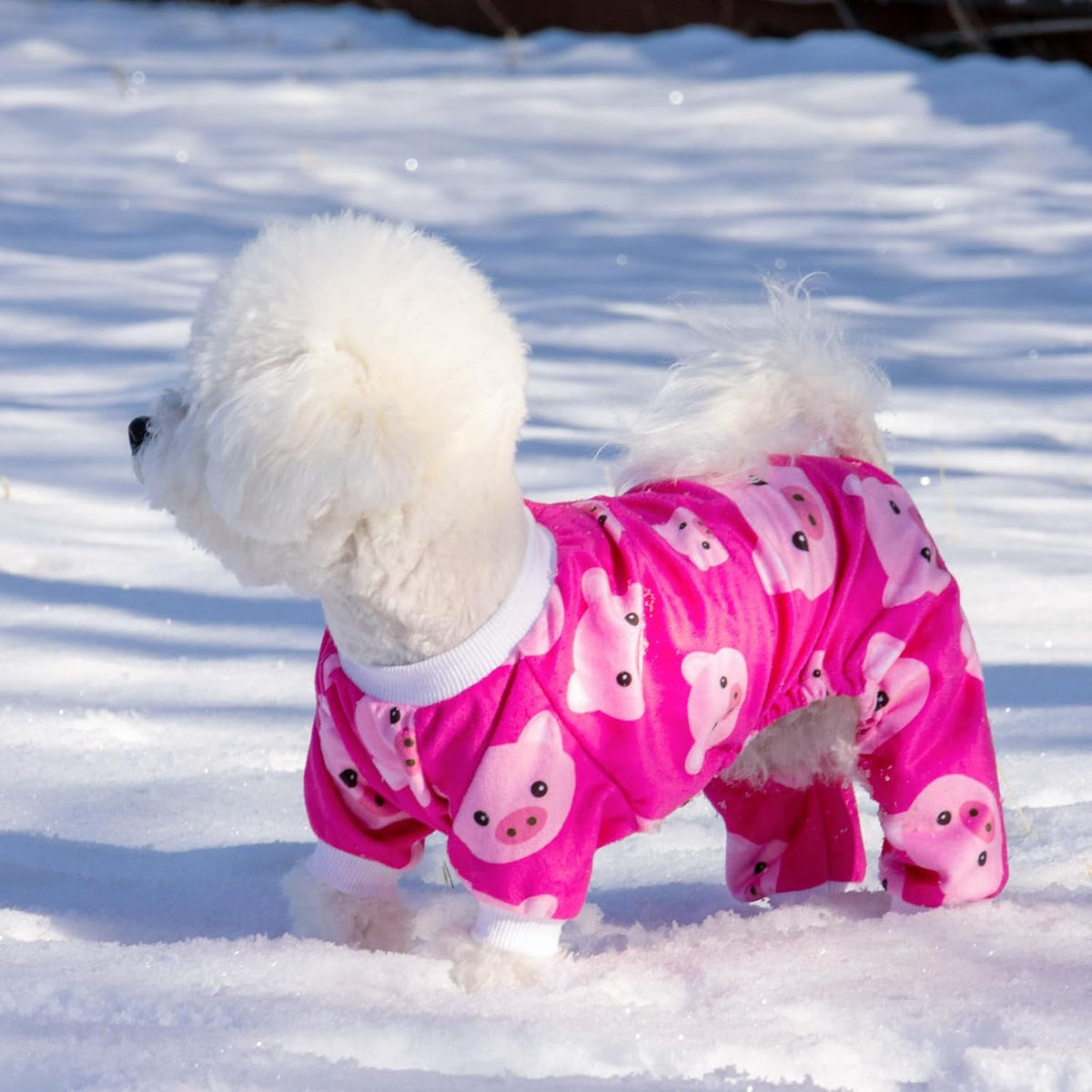 CuteBone Dog Halloween Pajamas Puppy Onesies Small Dogs Soft Pjs Coat Cat Apparel Comfy Pet