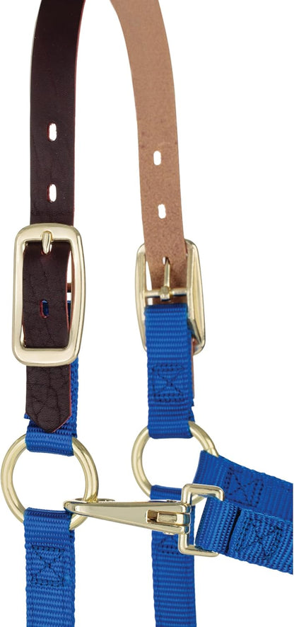 Weaver Equine Breakaway Horse Halter, Supple Leather Crown, Adjustable Chin & Throat Snap Halters