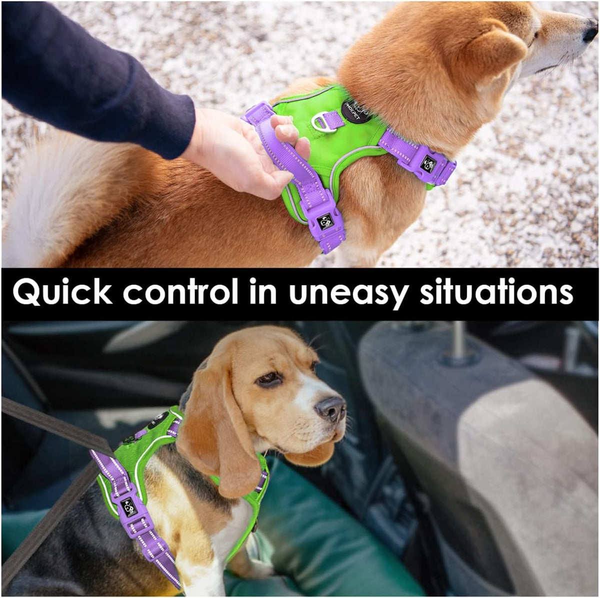 PHOEPET No Pull Dog Harness, Unique Colors Reflective Adjustable Dog Vest, with Soft Training