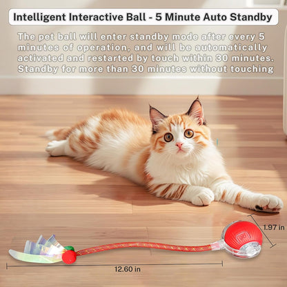 New Upgraded Cat Ball Toy - Speedy Tail 2.0 Cat Toy, Interactive Cat Toy Ball, Stimulating Toys and