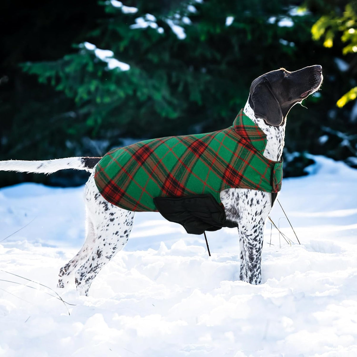 Kuoser Waterproof Dog Coat, Reversible Dog Jacket for Large Dogs, Adjustable Durable Doggie Winter