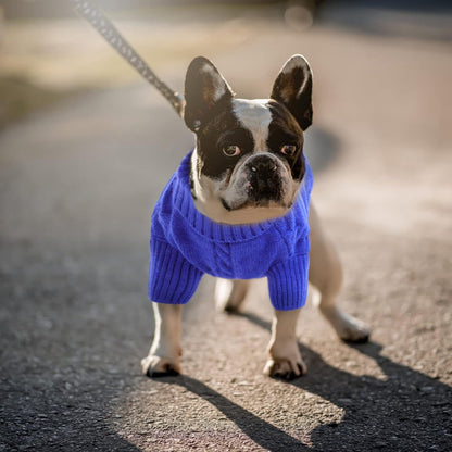 Queenmore Small Dog Pullover Sweater, Cold Weather Cable Knitwear, Classic Turtleneck Thick Warm