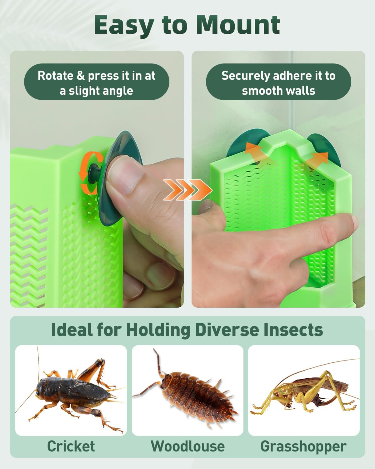 Pawfly Bearded Dragon Feeder - Escape-Proof Corner Reptile Food Box, Wall-Mounted with Suction Cups