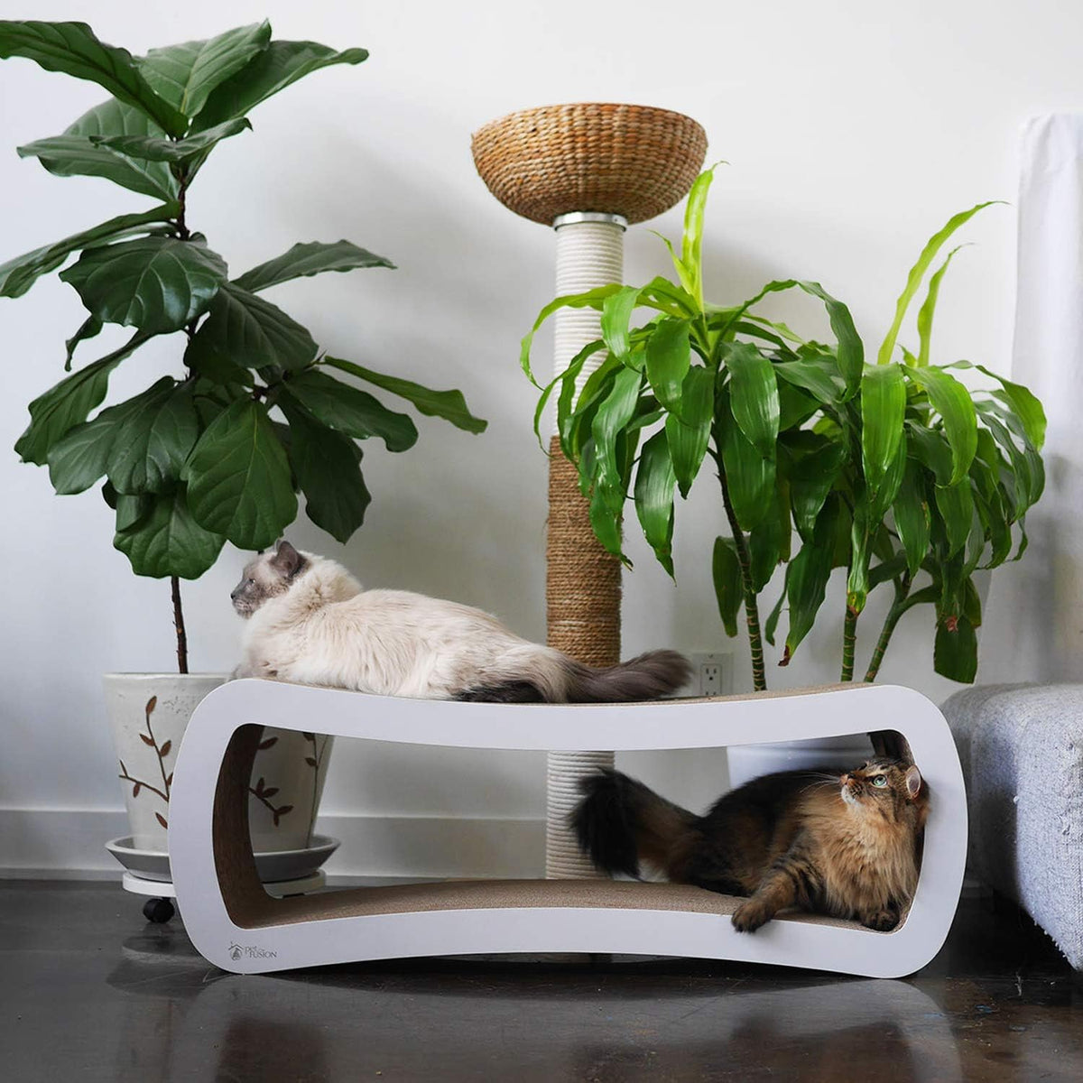 PetFusion Jumbo Cat Scratcher Lounge, White. 39 x 11 x 14 inch 4 Cardboard Scratching Surfaces and