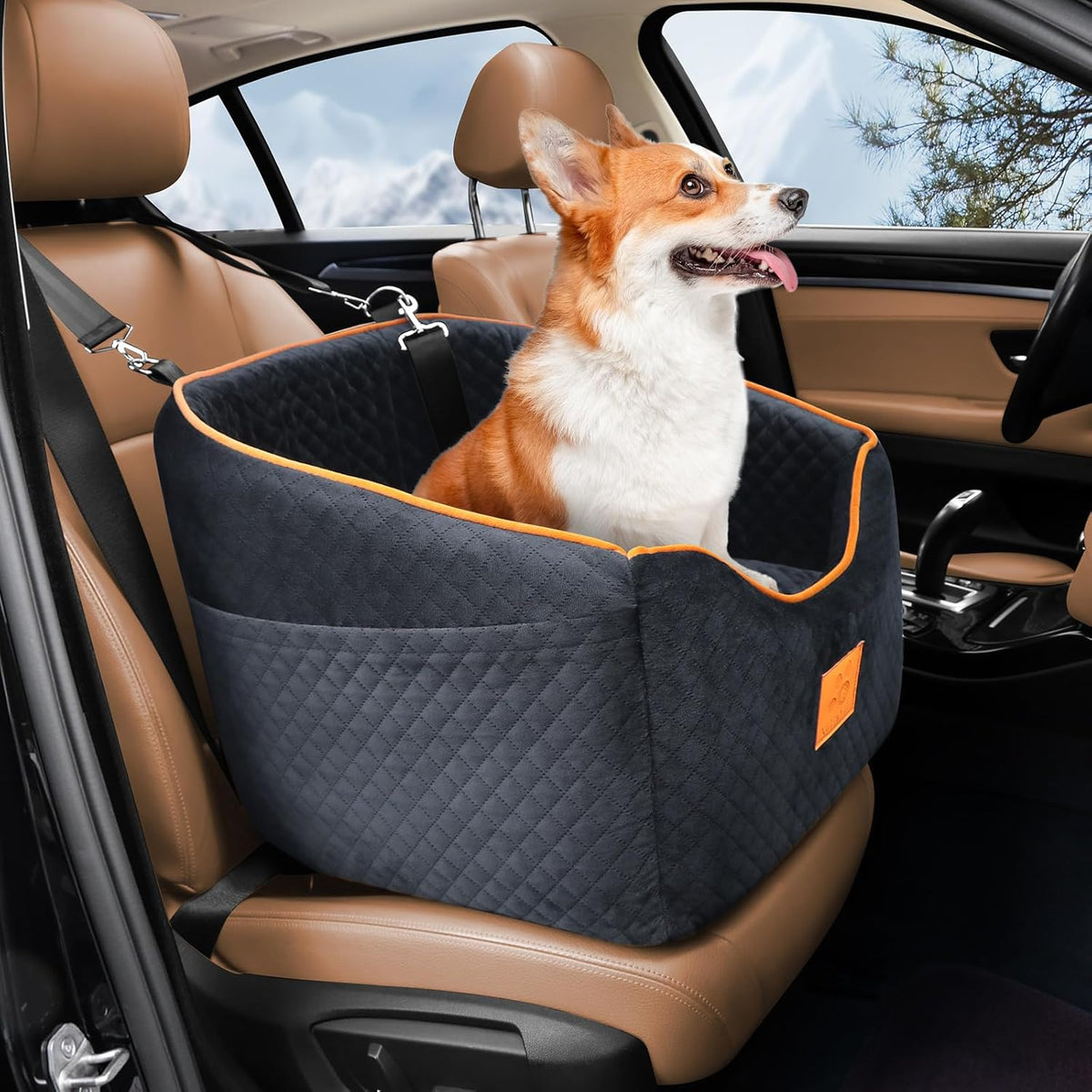Dog Car Seat for Small Dogs, Memory Foam Booster Dog Seat for Dogs up to 35 lbs, Elevated Pet Car