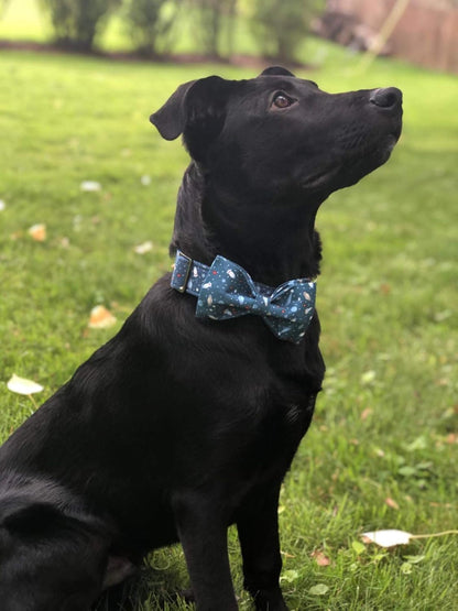 Elegant little tail Dog Collar with Bow, Cotton & Webbing, Bowtie Dog Collar, Adjustable Dog