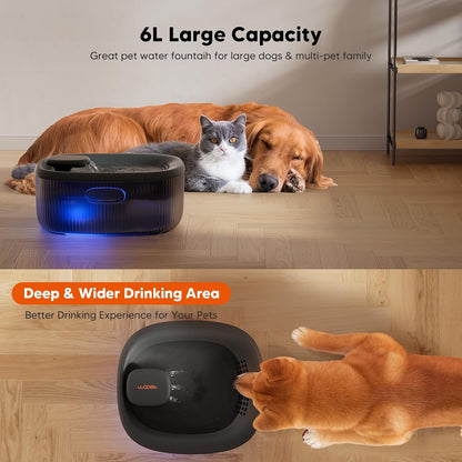 WOPET Dog Water Fountain for Large Dogs, 6L/205oz/1.7Gal Automatic Dog and Cat Water Fountain,Dog