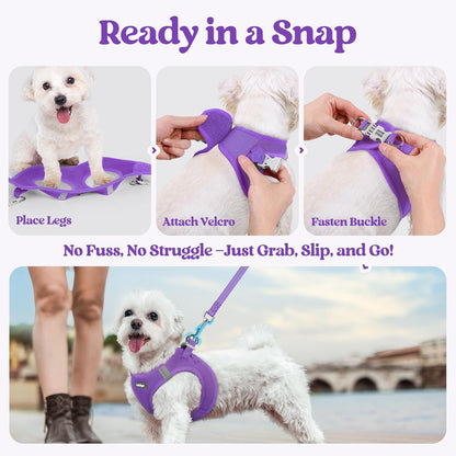 rabbitgoo Dog Harness Small Sized and Leash Set, Step in Soft Light Puppy Vest, Breathable Mesh Pet