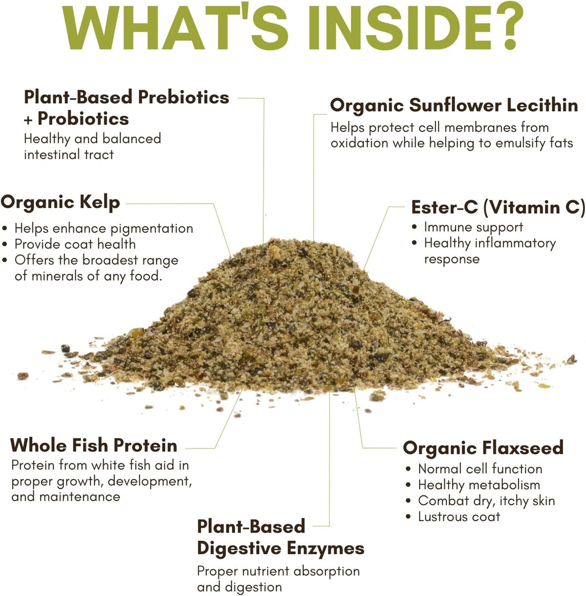 Wholistic Pet Organics Equine Complete: Horse Multivitamin for Total Body Health - Horse Supplement