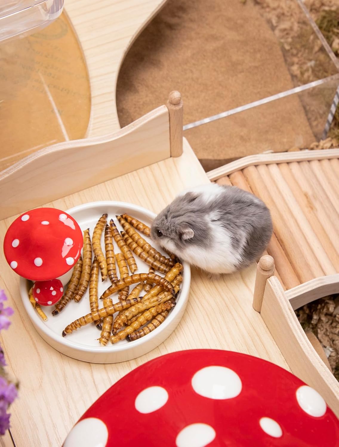 Niteangel Small Animal Snack & Treats - Small Critter Natural Treat for Dwarf Syrian Hamsters