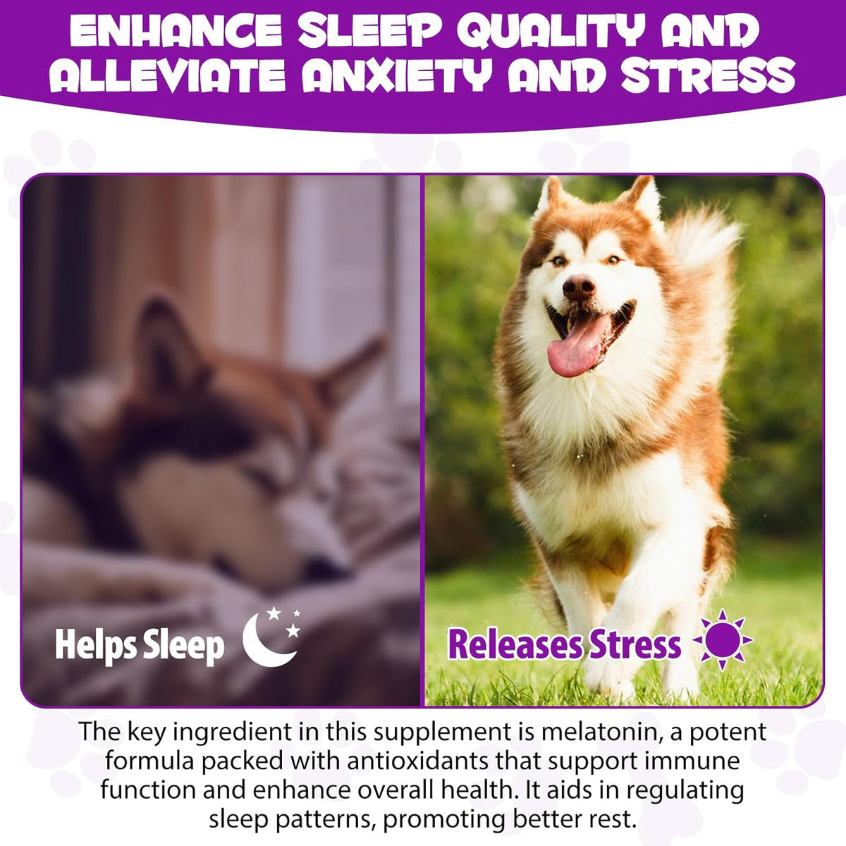 Dog Melatonin - Melatonin for Dogs - Dog Melatonin for Small Dogs - Cat Melatonin - Anxiety &