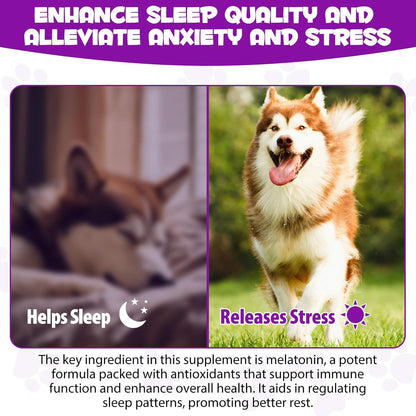 Dog Melatonin - Melatonin for Dogs - Dog Melatonin for Small Dogs - Cat Melatonin - Anxiety &