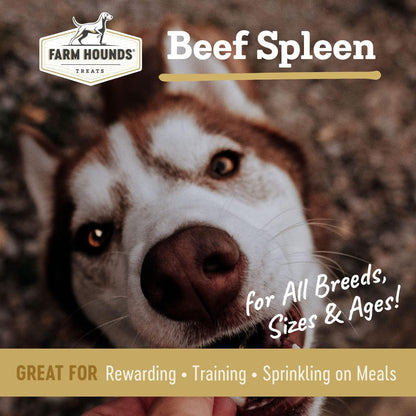 Farm Hounds - Beef Spleen - Premium Natural Beef Spleen Jerky For Dogs - Made From 100% Humanely