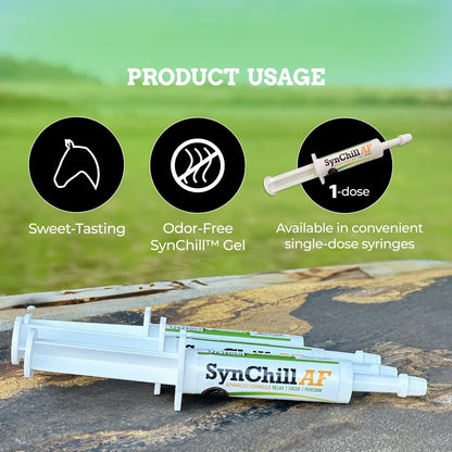 SynChill AF Calming Gel for Nervous Horses - Single Serving - Advanced Formula with L-Theanine