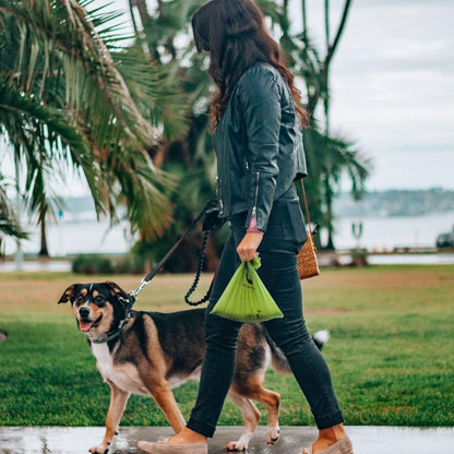 Certified Compostable Dog Poop Bags, 120 Count Landfill Friendly and Leakproof Waste Bags, Easy
