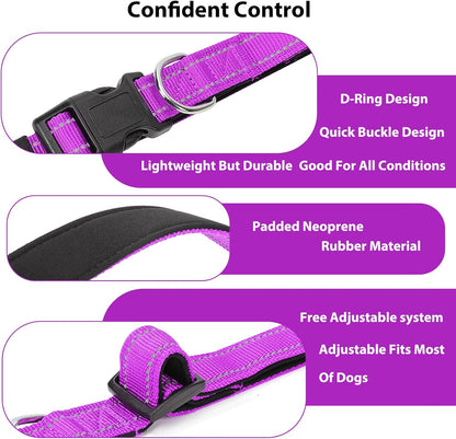 Reflective Dog Collar Padded with Soft Neoprene Breathable Quick Release Basic Dog Collars for