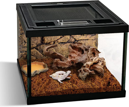 Mini Reptile Glass Terrarium Tank 8 * 8 * 6" Full View, Amphibians Box Habitat Enclosure Cage for