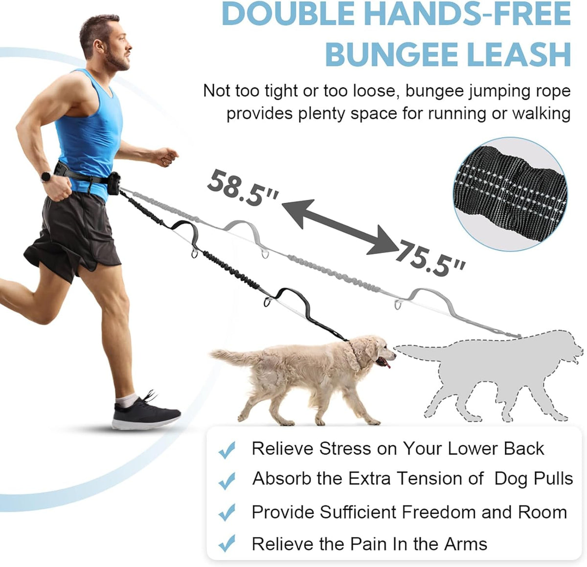Hands Free Dog Leash with Pouch, Double Leash for Two Dogs, Retractable Bungee with Double Padded