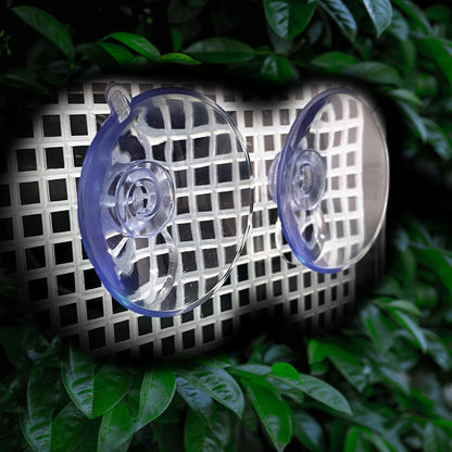 Bearded Dragon Feeder, Transparentk Acrylic Reptile Feeder Box, Chameleon Bug Bowl, Wall-Mounted