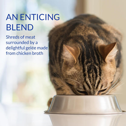 INABA Churu Stew for Cats, Creamy Broth Gelée with Shredded Chicken Topper/Treat Pouch with Vitamin
