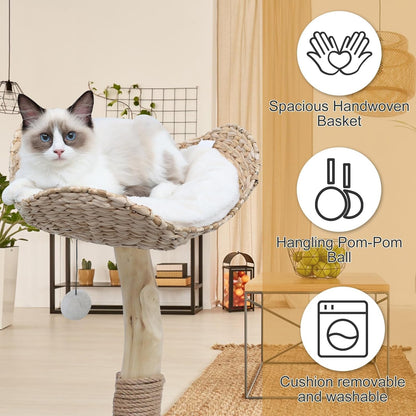 Modern Cat Tree Tower for Indoor Cats, Real Branch Luxury Cat Condo with Scratching Post, Jumping