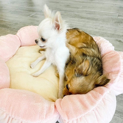 TONBO Soft Plush Small Cute and Cozy Pastel Pink Flower Dog Cat Bed, Washer and Dryer Friendly