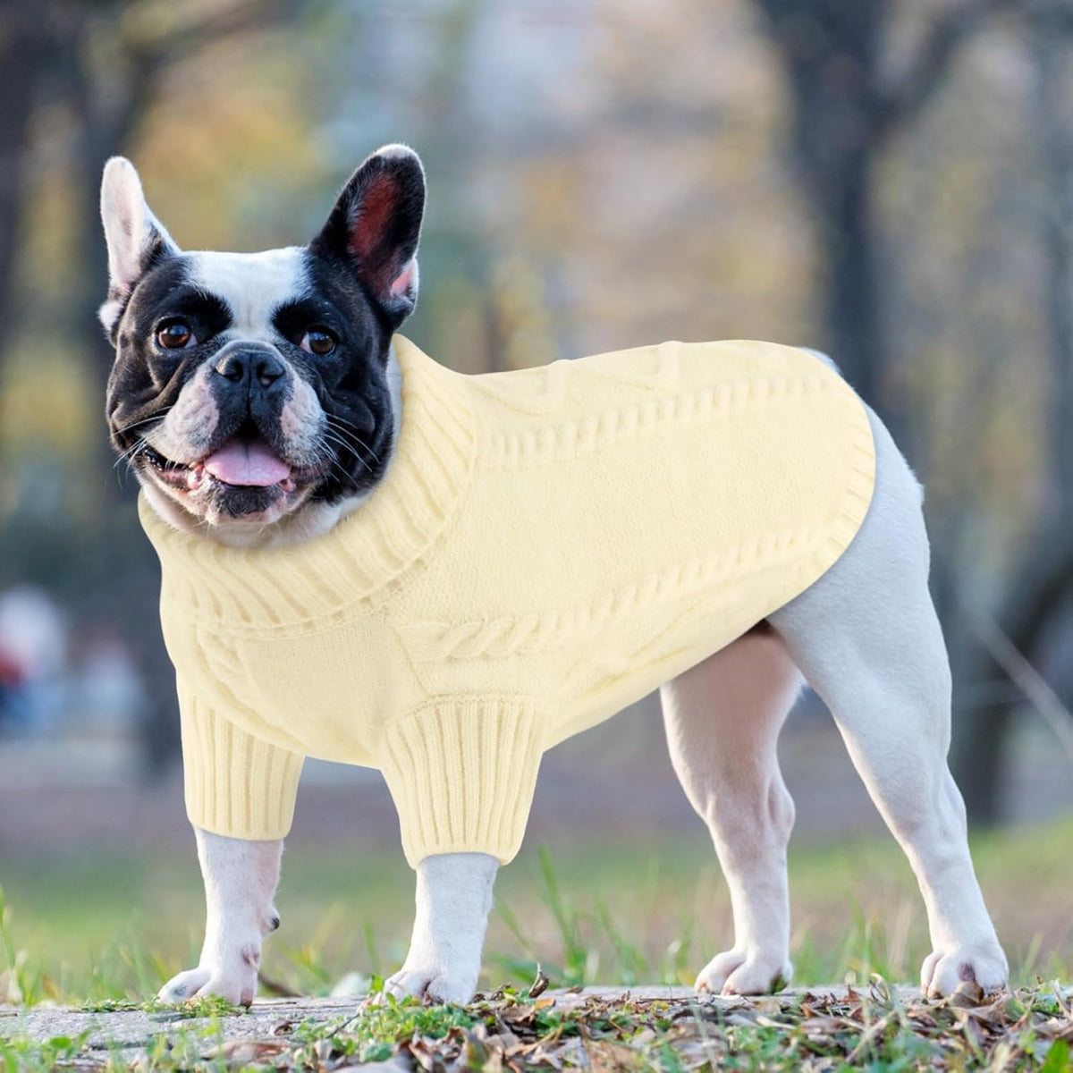 Queenmore Small Dog Pullover Sweater, Cold Weather Cable Knitwear, Classic Turtleneck Thick Warm