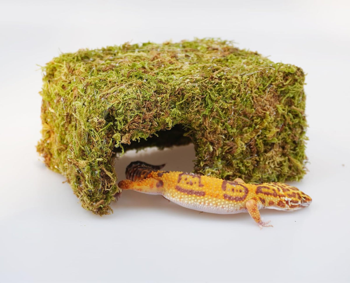Leopard Gecko Tank Accessories, Cute Reptile Hideout Cave, Essential Tank Terrarium Habitat Decor