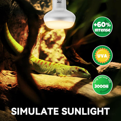 LUCKY HERP Intense Heat Lamp Bulbs for Reptiles 75W 2 Pack, UVA Daylight Reptile Heat Lamp, Reptile